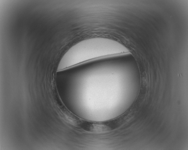 X0000063440605200601200930
