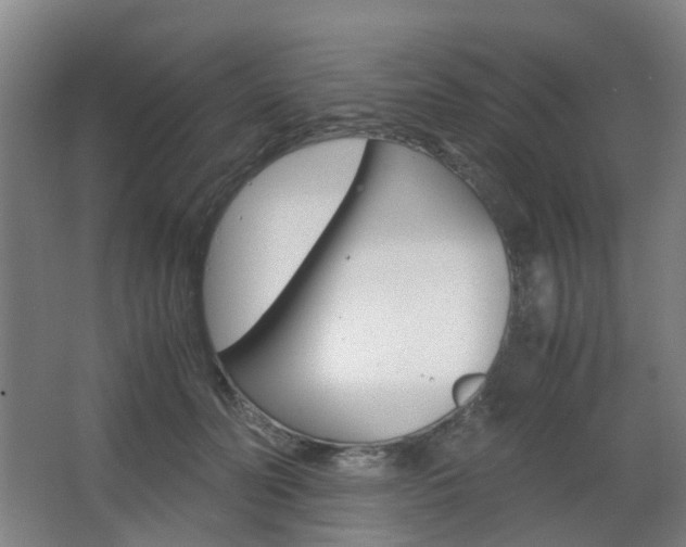X0000063440606200601200930
