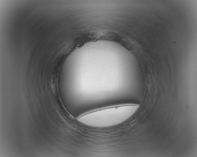 X0000063440607200601200930