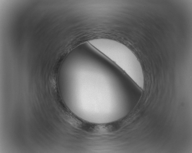 X0000063440613200601200930