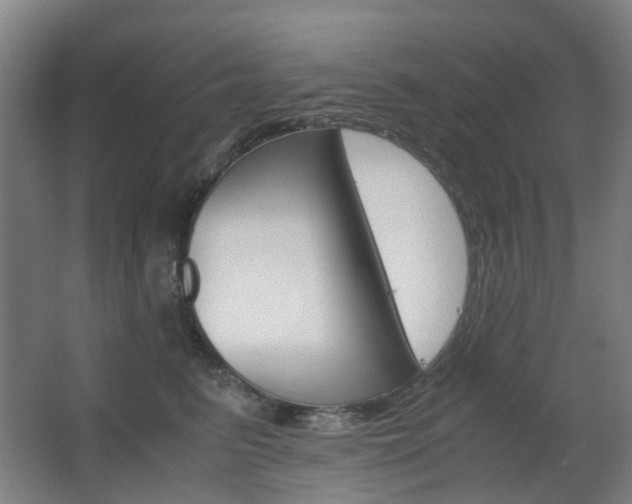 X0000063440615200601200930