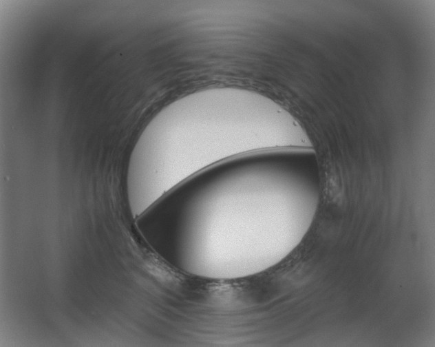 X0000063440616200601200930