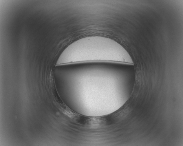 X0000063440623200601200930