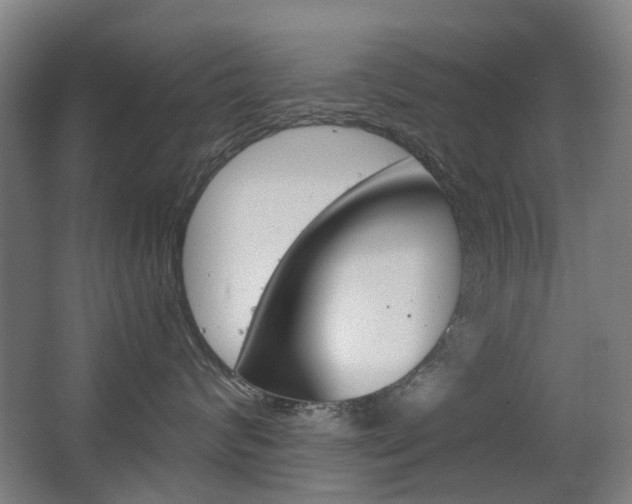 X0000063440624200601200930