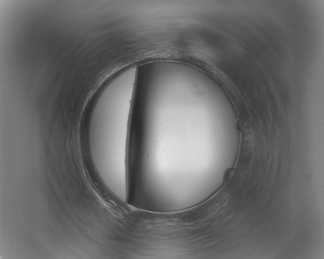 X0000063440626200601200929