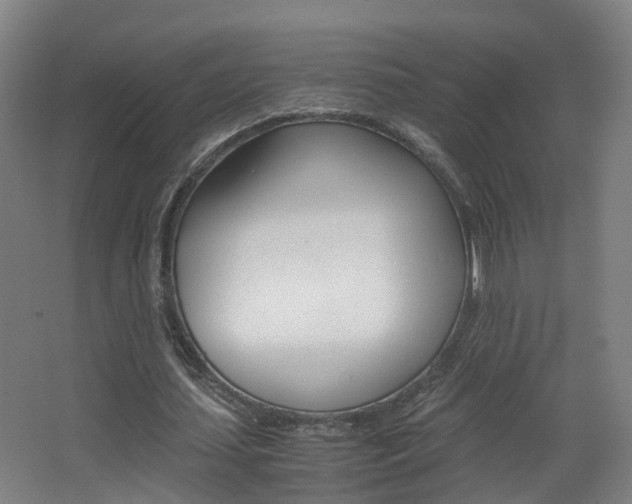 X0000063440627200601200929
