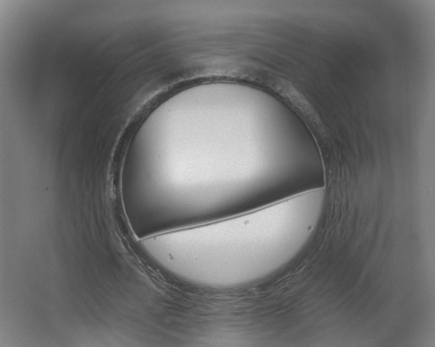 X0000063440628200601200929