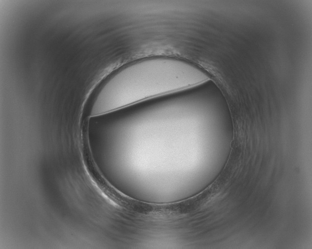 X0000063440630200601200929