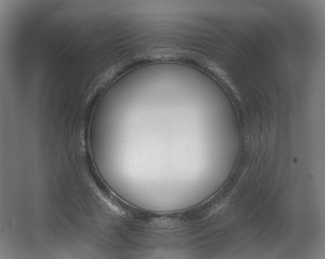 X0000063440633200601200929