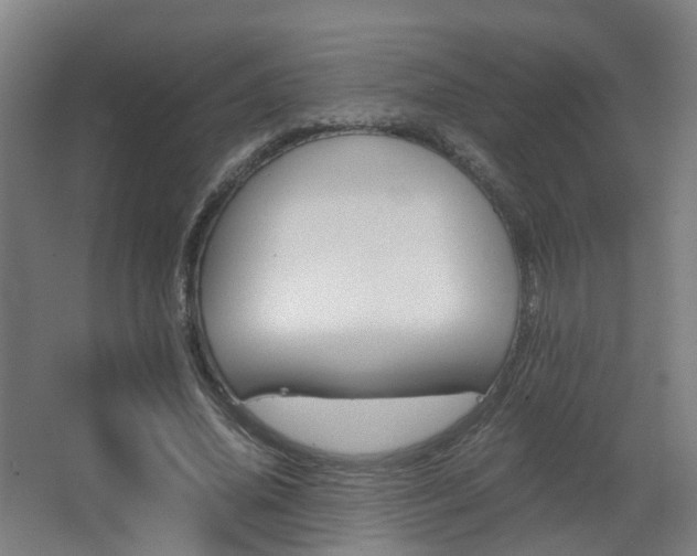 X0000063440636200601200929