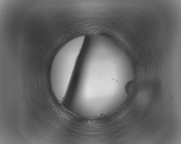 X0000063440641200601200929