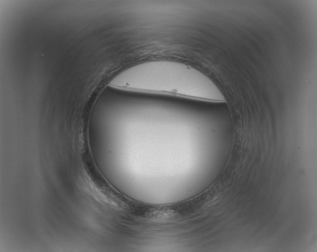 X0000063440642200601200929