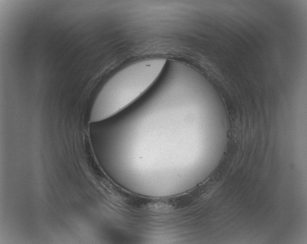 X0000063440644200601200929