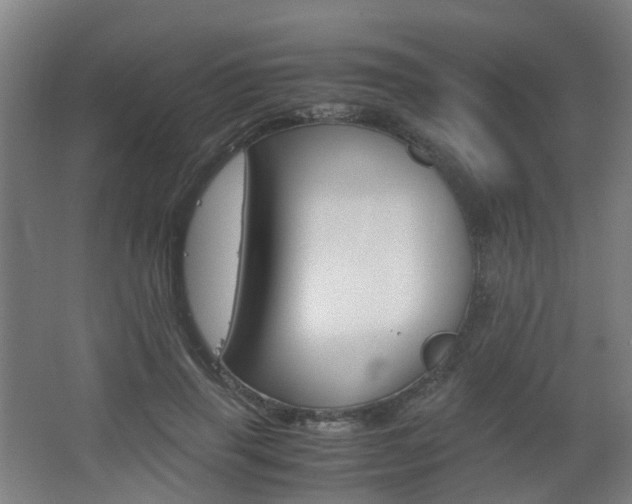 X0000063440645200601200929