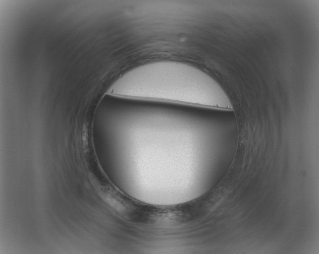 X0000063440646200601200929
