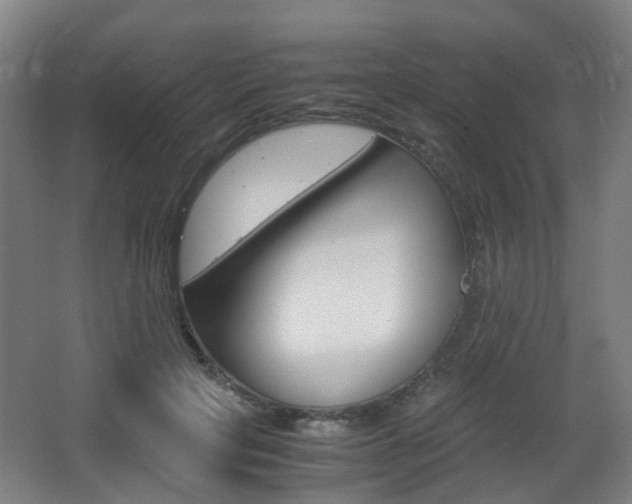 X0000063440649200601200930