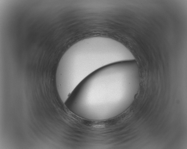 X0000063440653200601200930