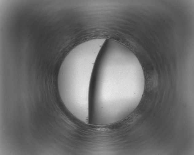 X0000063440654200601200930