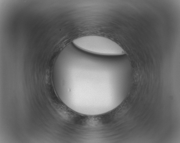 X0000063440656200601200930