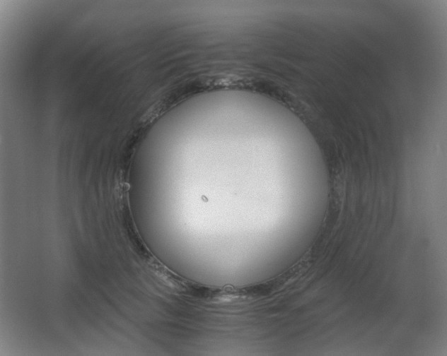 X0000063440657200601200930