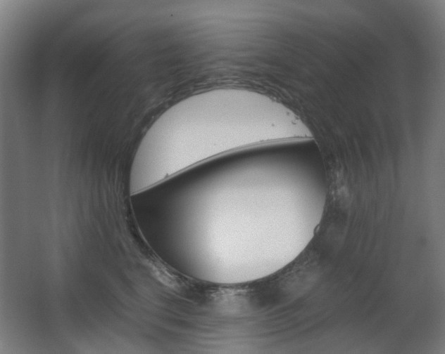 X0000063440664200601200930