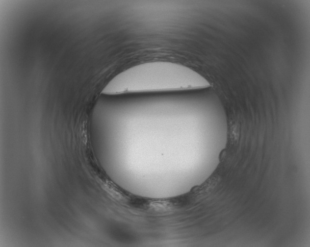 X0000063440666200601200930