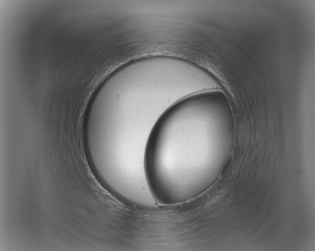 X0000063440673200601200929