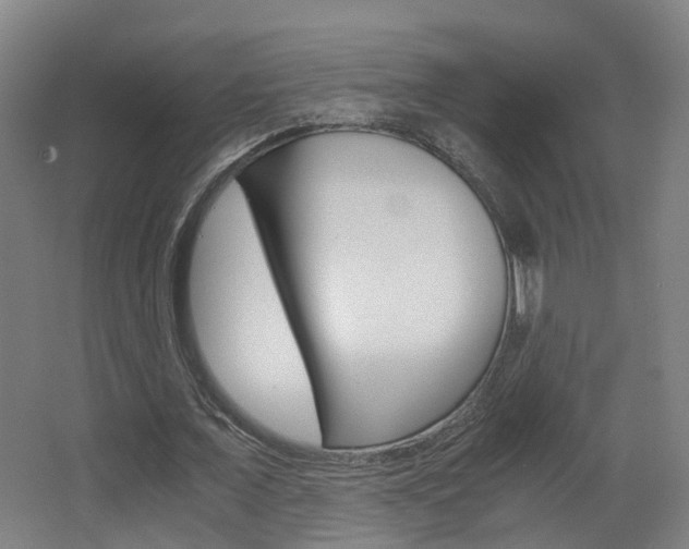 X0000063440675200601200929