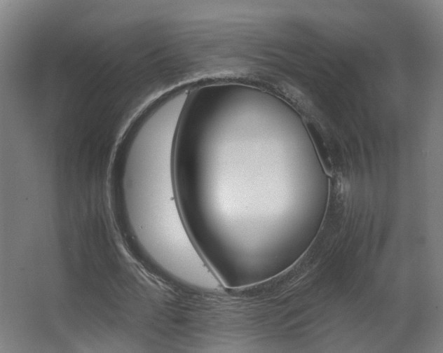X0000063440676200601200929