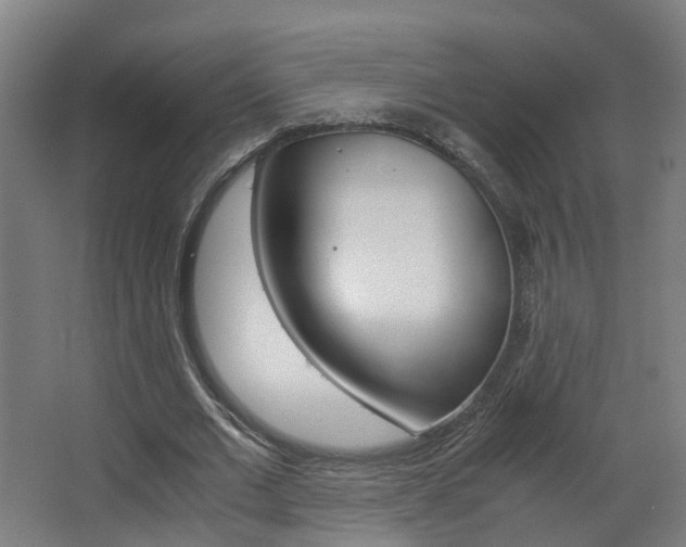 X0000063440677200601200929
