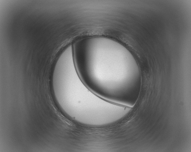 X0000063440681200601200929