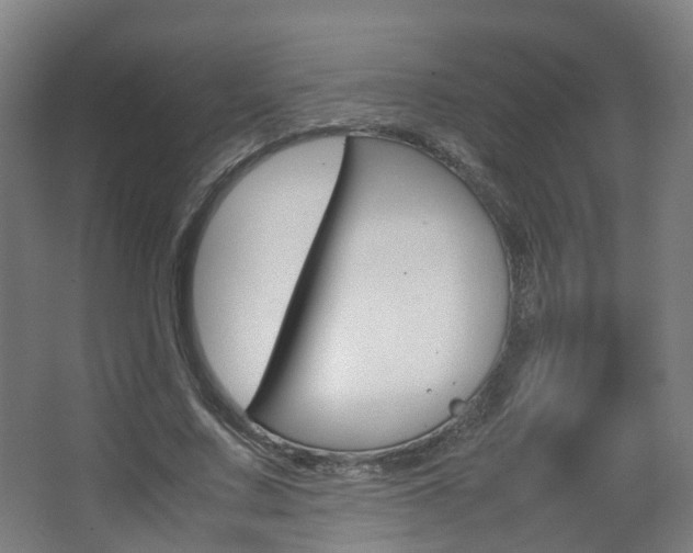 X0000063440683200601200929