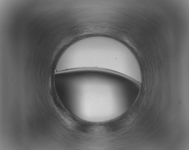 X0000063440685200601200929
