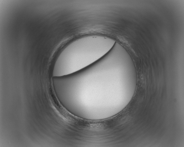 X0000063440686200601200929