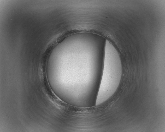 X0000063440688200601200929