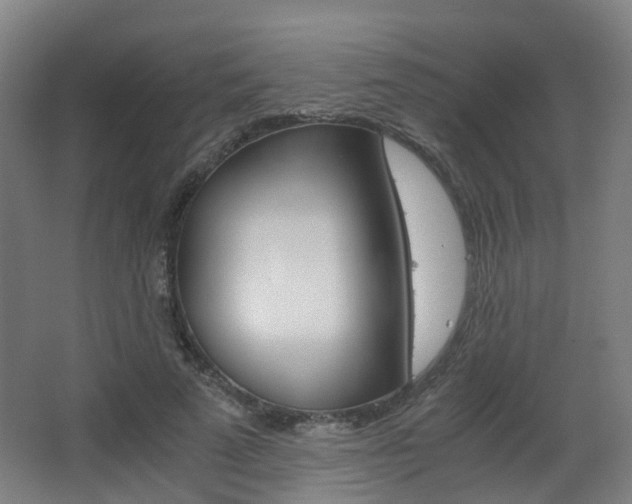 X0000063440689200601200929