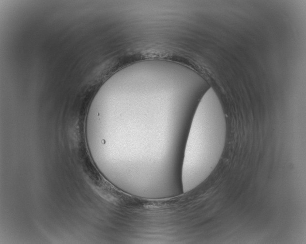 X0000063440690200601200929