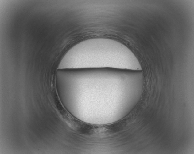 X0000063440695200601200929