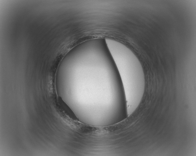 X0000063440696200601200929