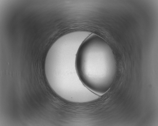 X0000063440697200601200929