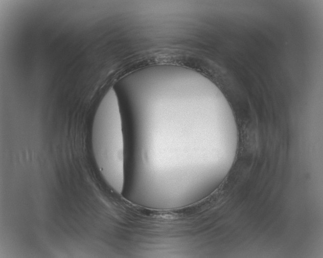 X0000063440698200601200929