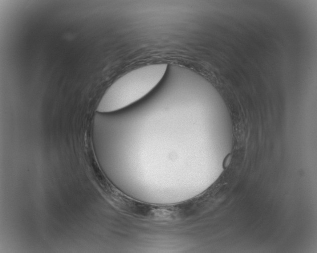X0000063440703200601200929