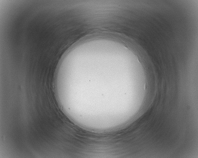 X0000063440705200601200929