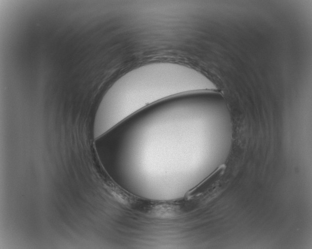 X0000063440708200601200929