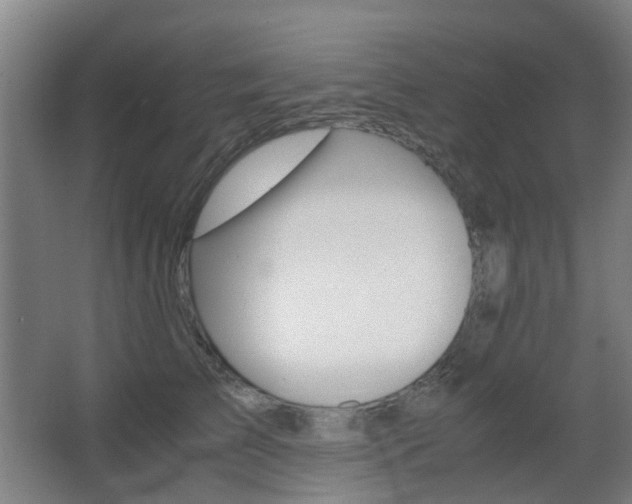 X0000063440709200601200929