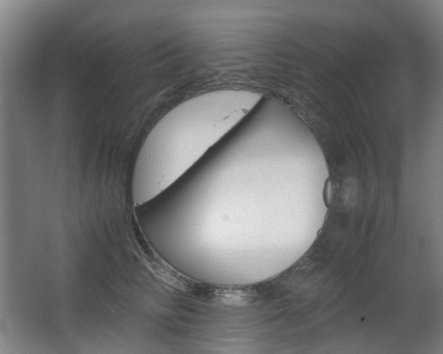 X0000063440710200601200928