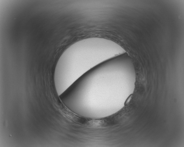 X0000063440711200601200928