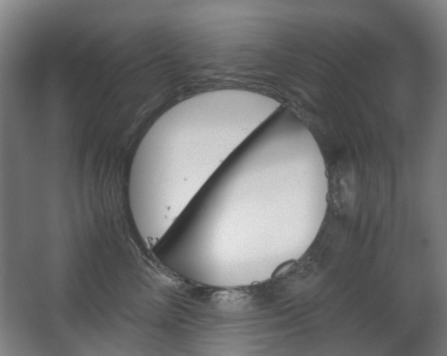 X0000063440714200601200928