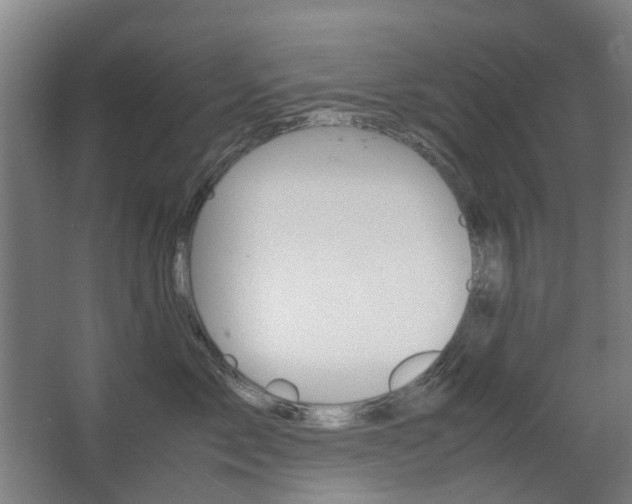 X0000063440717200601200928