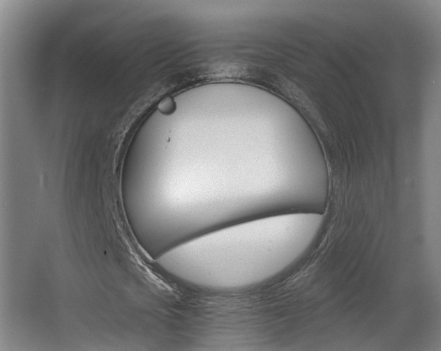 X0000063440721200601200928